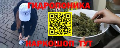 spice Чебоксары