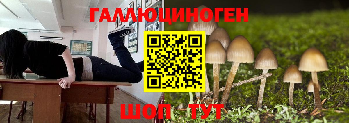 Галлюциногенные грибы MAGIC MUSHROOMS Выкса