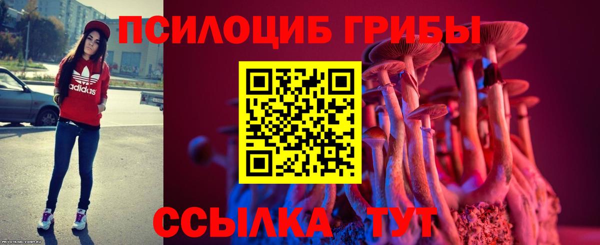 Псилоцибиновые грибы GOLDEN TEACHER  Вход с VPN  Выкса 